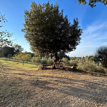 Casale Di Valle Mora San Gimignano Bagian luar foto