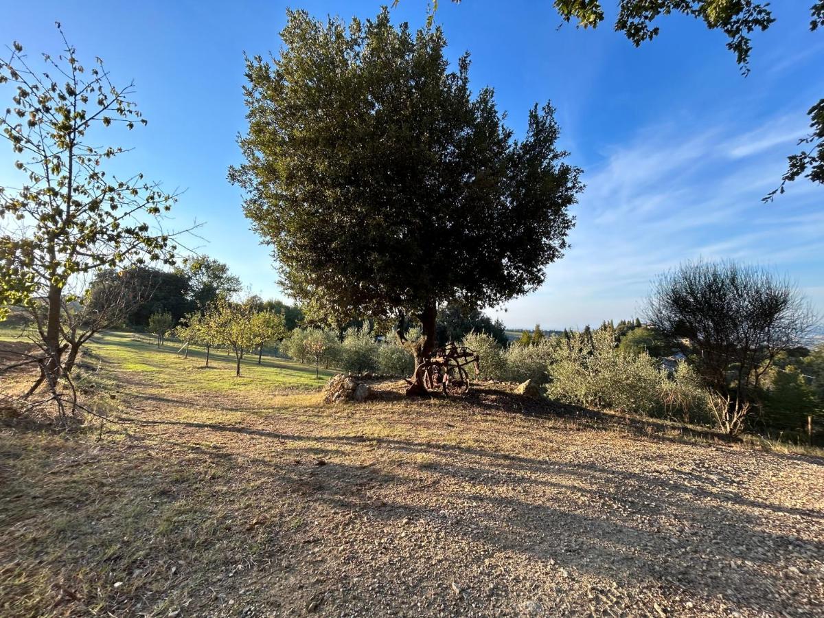 Casale Di Valle Mora San Gimignano Bagian luar foto